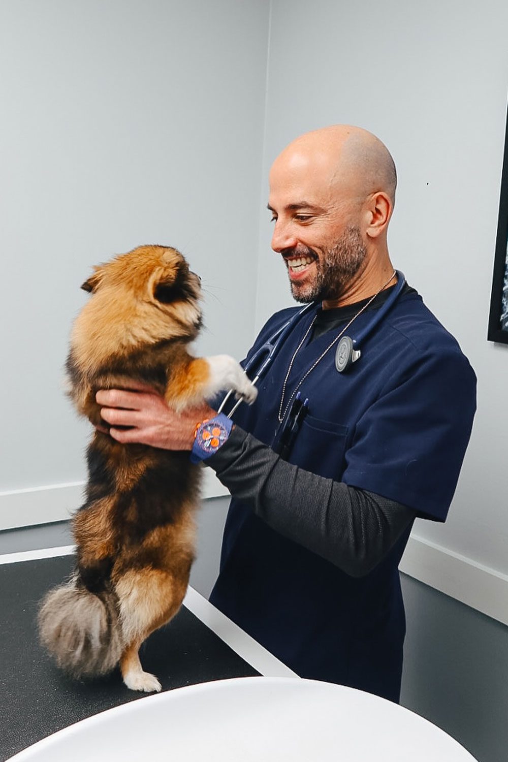 male veterinarian smiling and holding up small fluffy dog