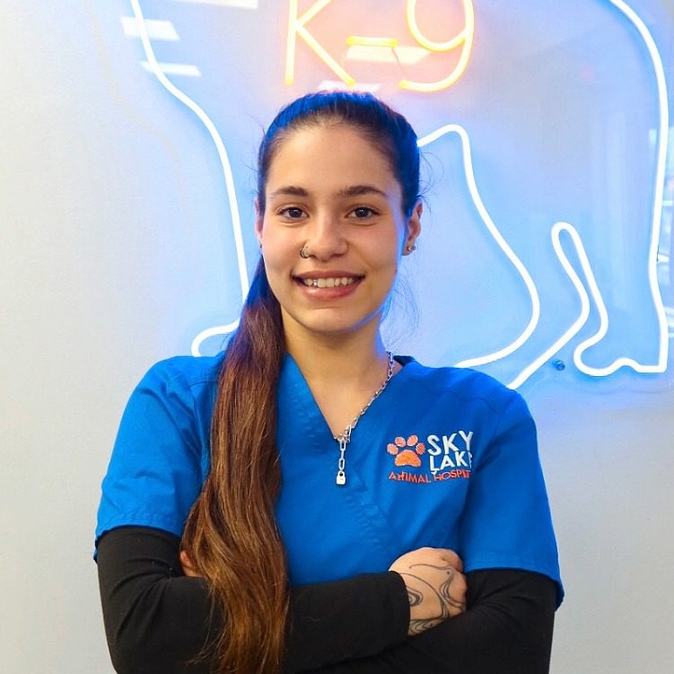 Female with long brown hair in a pony tail swept to the side, wearing a blue V-neck tshirt crossing her arms