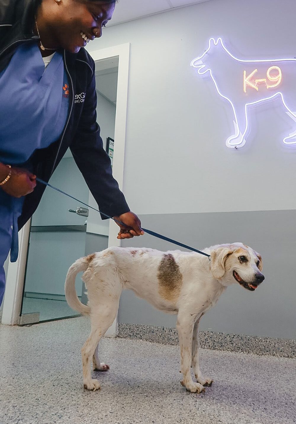 female staff member smiling while gently leading large dog with leash