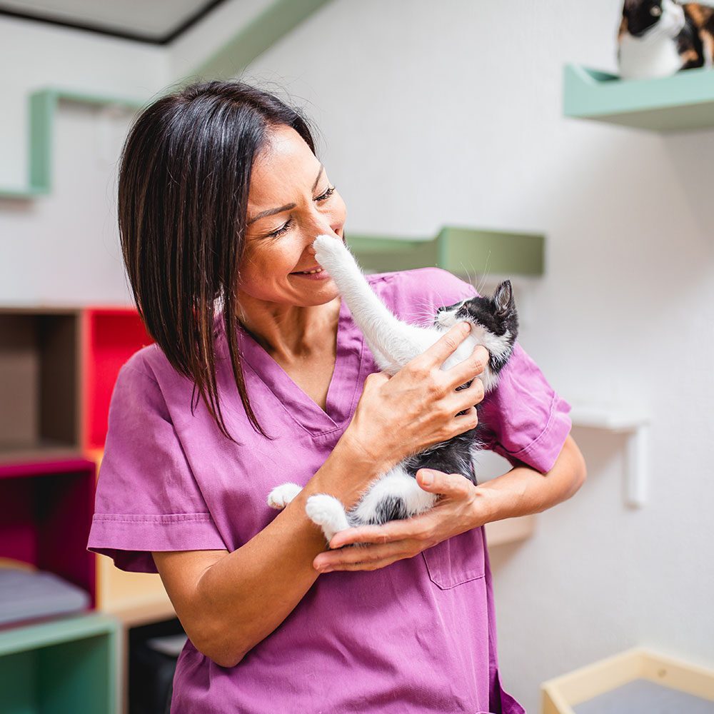 female veterinarian smiling while holding kitten that's reaching up for her nose